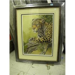 23673- NEW JAGUAR RESTING (LEP BY AXEL AMUCHASTEGUI)