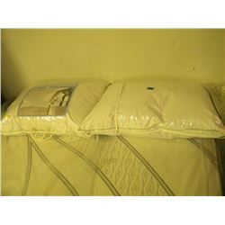 2 PILLOWS