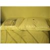 Image 1 : 2 PILLOWS