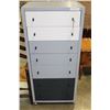 Image 1 : PAINTED 7 DRAWER HIGHBOY