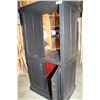Image 2 : PAINTED PINE CABINET