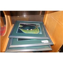 SET OF THREE FRAMED NATURE PRINTS