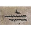 Image 9 : Lot of 7 Judaica Silver Items