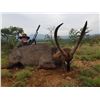 Image 3 : EASTERN CAPE PLAINS GAME SAFARI FOR ONE HUNTER & OBSERVER