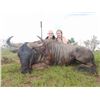Image 4 : EASTERN CAPE PLAINS GAME SAFARI FOR ONE HUNTER & OBSERVER