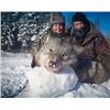 Image 2 : TROPHY CANADIAN WOLF HUNT