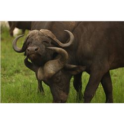 SOUTH AFRICAN LUXURY PHOTO SAFARI FOR TWO