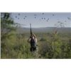 Image 3 : ARGENTINE WINGSHOOTING ADVENTURE FOR TWELVE