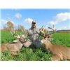 Image 4 : OHIO WHITETAIL HUNT CREDIT FOR TWO HUNTERS