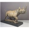 Image 2 : Black Rhino