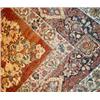 Image 1 : Sarouk Rug