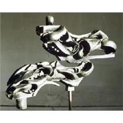 Naum Knop Reflex in Space