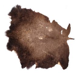 Tanned Montana Buffalo Hide Rug