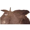 Image 3 : Tanned Montana Buffalo Hide Rug