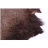 Image 4 : Tanned Montana Buffalo Hide Rug