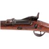 Image 9 : Springfield Model 1873 .45-70 Trapdoor Carbine