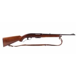 Winchester Model 88 .243 Win. Lever Action Carbine