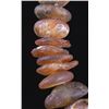 Image 11 : Genuine Ancient Amber Necklace