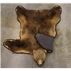 Image 11 : Trophy Alaskan Kodiak Grizzly Bear Rug EXCEPTIONAL