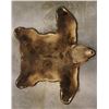 Image 14 : Trophy Alaskan Kodiak Grizzly Bear Rug EXCEPTIONAL