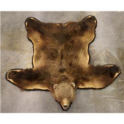 Trophy Alaskan Kodiak Grizzly Bear Rug EXCEPTIONAL