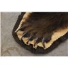 Image 3 : Trophy Alaskan Kodiak Grizzly Bear Rug EXCEPTIONAL