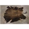 Image 13 : Native American Indian Painted Buffalo Hide