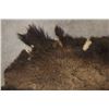 Image 14 : Native American Indian Painted Buffalo Hide
