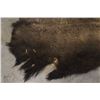 Image 17 : Native American Indian Painted Buffalo Hide