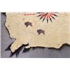 Image 7 : Native American Indian Painted Buffalo Hide