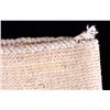 Image 17 : Nez Perce Native American Corn Husk Bag 1900's
