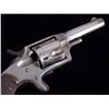Image 2 : Hopkins Allen GWT&R .32 Revolver Mountain Eagle