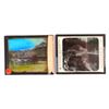 Image 2 : Yellowstone National Park Glass Slide Collection