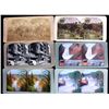 Image 4 : Antique Stereoviewer and Views Collection