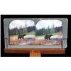 Image 9 : Antique Stereoviewer and Views Collection