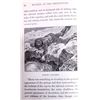 Image 11 : Wonders of the Yellowstone by Richardson c. 1873