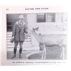 Image 5 : 1924 Haynes Guide Yellowstone National Park