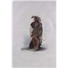 Image 2 : Karl Bodmer circa 1839 Indian Aquatint Engraving