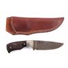 Image 1 : Chris Peterson Custom Damascus Knife & Scabbard