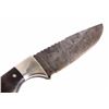 Image 2 : Chris Peterson Custom Damascus Knife & Scabbard