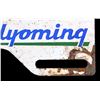Image 4 : Yellowstone Park License Plate Topper