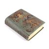 Image 1 : Sitting Bull and the Indian War First Edition 1891