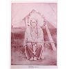 Image 4 : Sitting Bull and the Indian War First Edition 1891