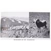 Image 9 : Haynes Yellowstone & Union Pacific Guide Books