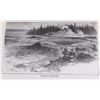 Image 8 : Limited Edition Yellowstone Wonderland Books