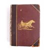 Image 8 : Chester's Complete Trotting & Pacing Record 1883