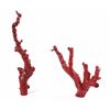 Image 1 : Antique Chinese Red Branch Coral Natural Trees