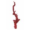 Image 2 : Antique Chinese Red Branch Coral Natural Trees