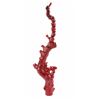 Image 3 : Antique Chinese Red Branch Coral Natural Trees