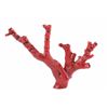 Image 4 : Antique Chinese Red Branch Coral Natural Trees